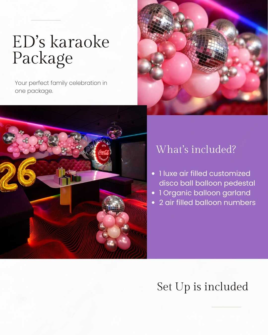 ED's Karaoke Party Package - WEM Celebration Decor