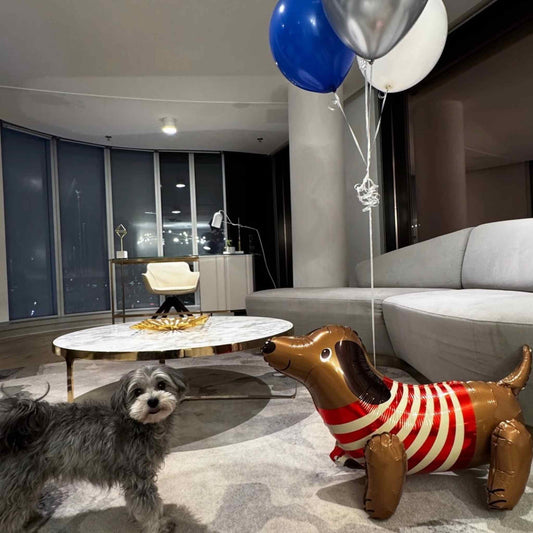 Birthday Blast with cute dog balloon bundle