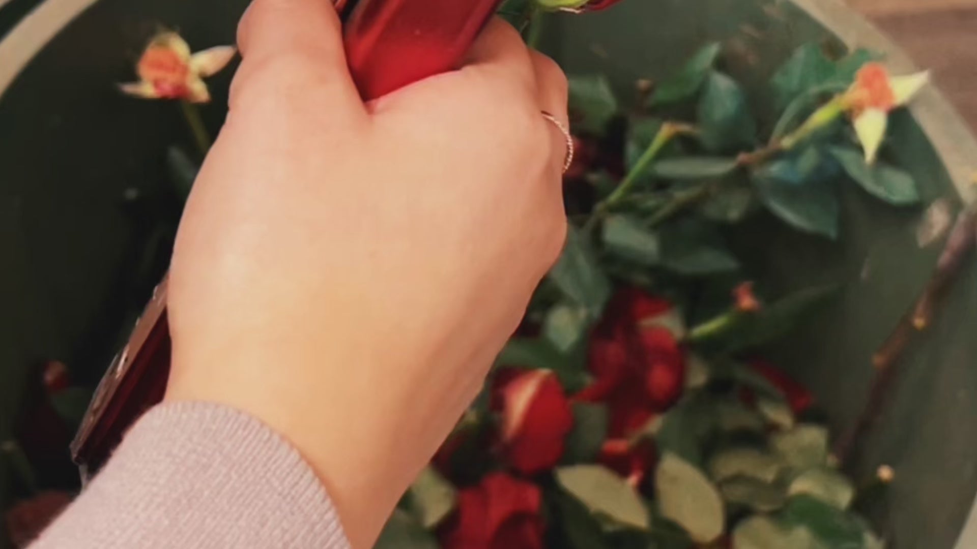 Load video: red roses and flower arrangements flowers by one up