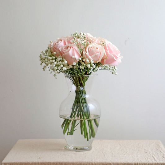 Baby Breath Starry Touch Roses