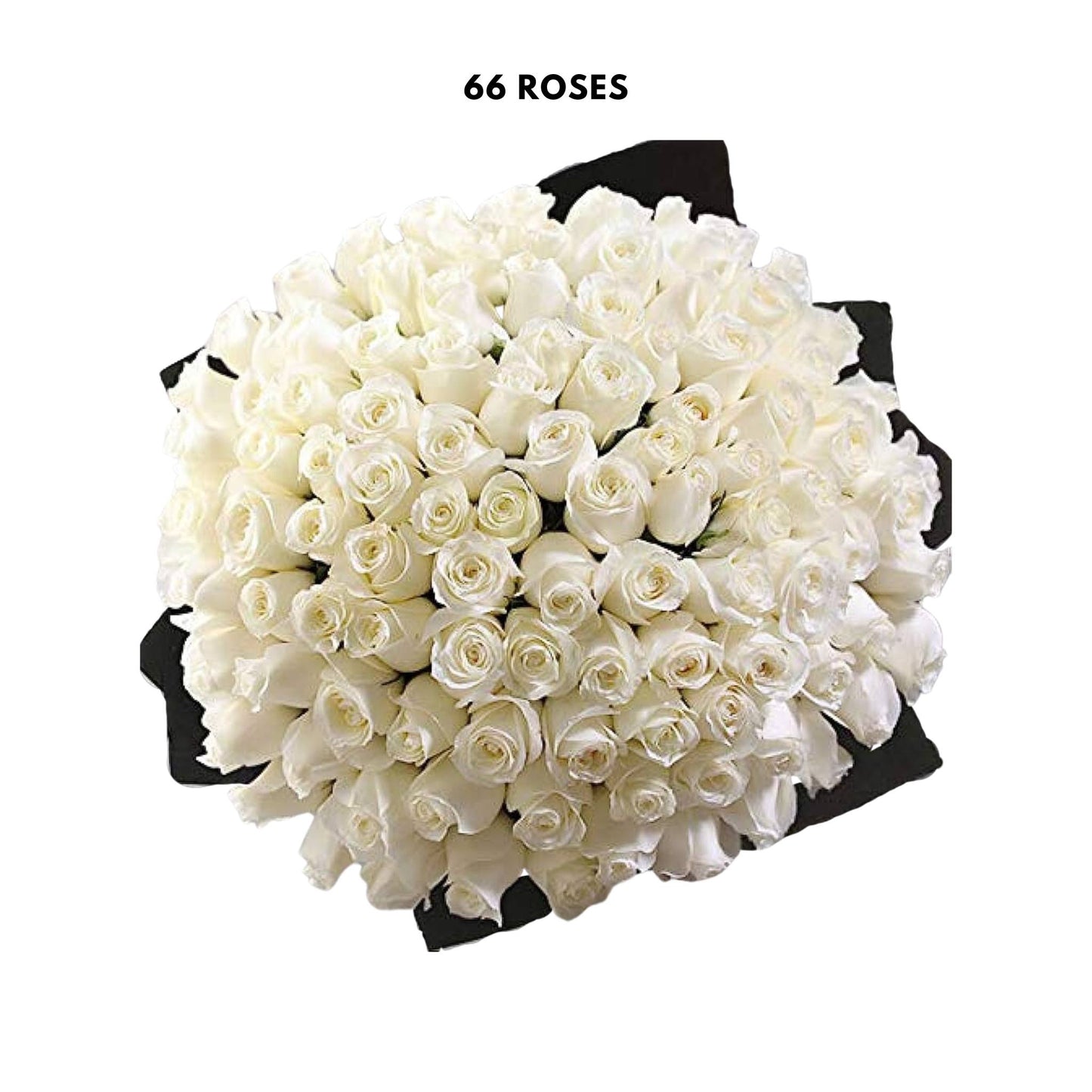 Luxury Jumbo 33, 66, or 99 Rose Bouquet