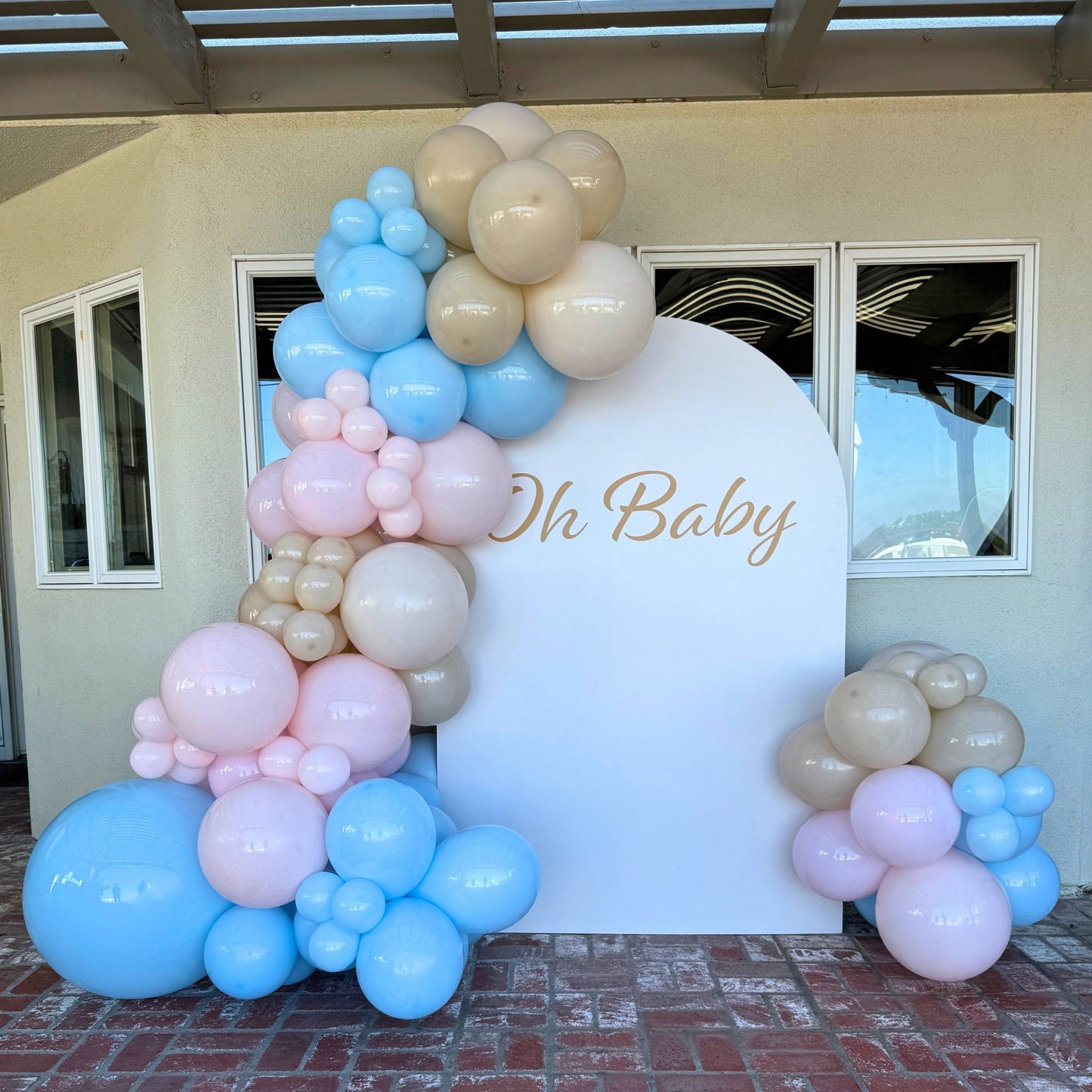 Baby Gender Reveal Pink and Blue Balloon Backdrop