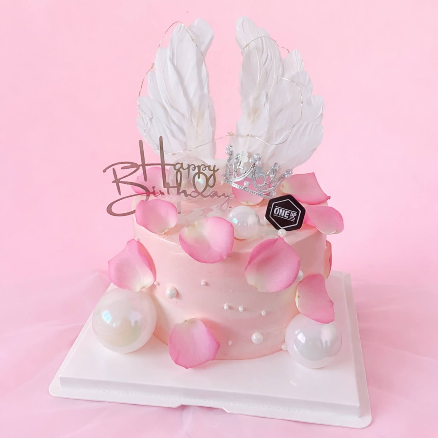 Pink Princess Feather Insta Cake
