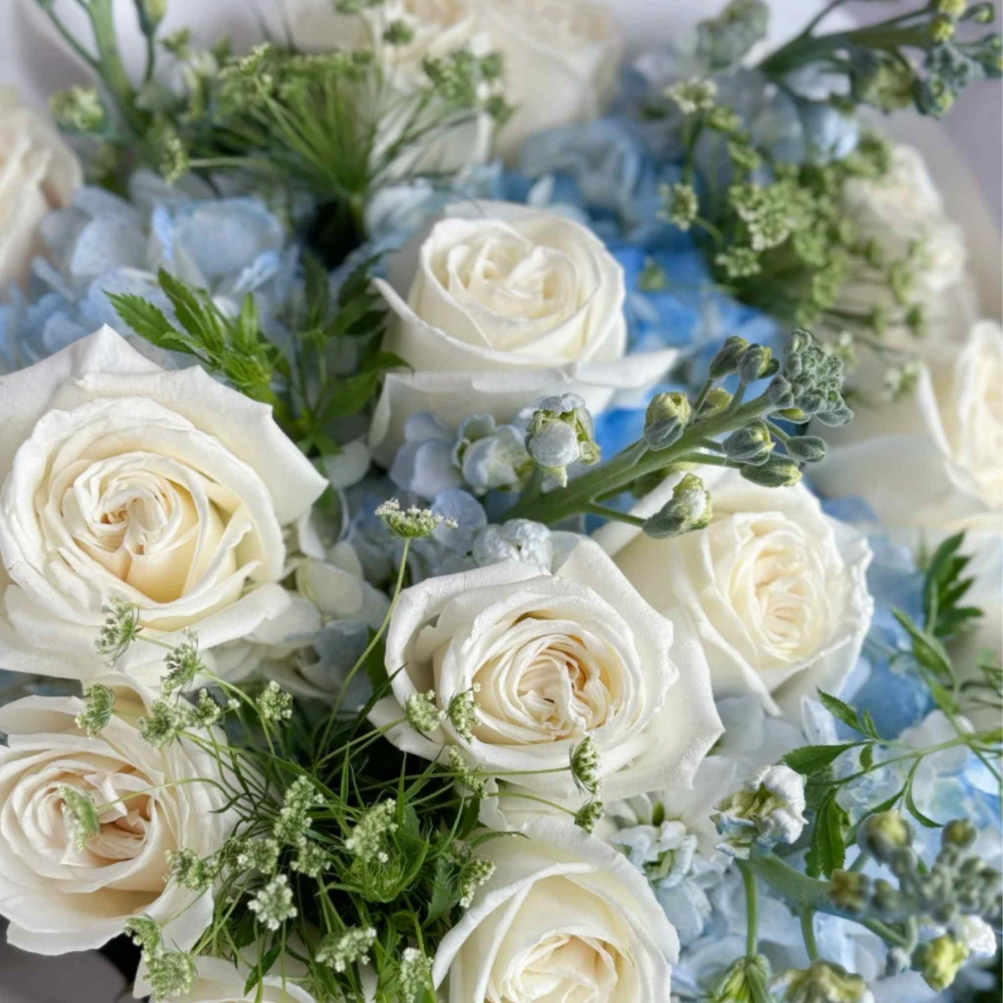 Blue Snow Bouquet of 16 White Roses Flowers