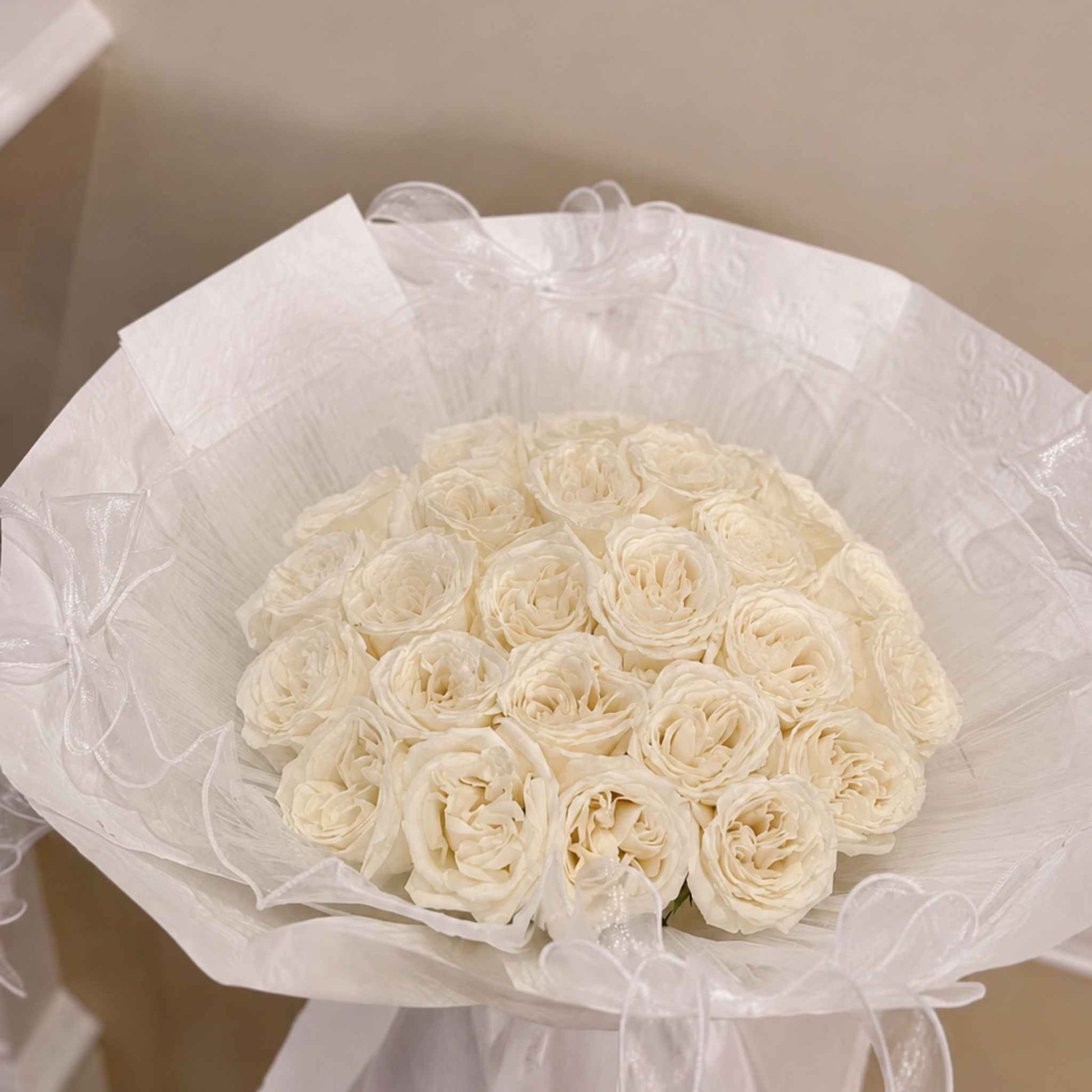 Bouquet of white roses wrapped in cellophane on a neutral background